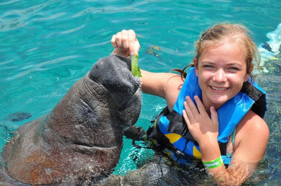 Cancún: Manatee Encounter on Isla Mujeres With Buffet Lunch
