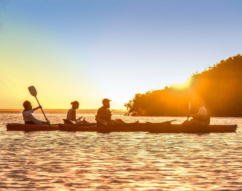 Cancún: Morning or Sunset Kayak Adventure in Nichupte Lagoon - Good To Know