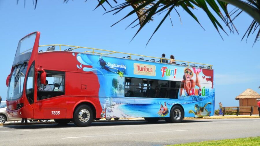 Cancún: Night-time Party Bus Tour & Music at Hard Rock Cafe - Good To Know