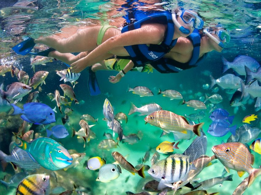 Cancún & Riviera Maya: Combo Xel-Ha & Xplor With Transport
