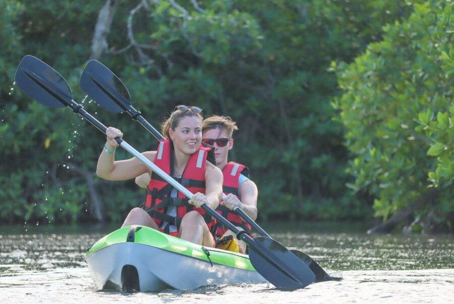 Cancun: Sunset Kayak Experience in the Mangroves - Good To Know