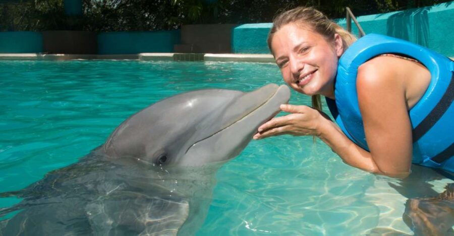 Cancún: Swim With Dolphins at Interactive Aquarium Cancún - Good To Know