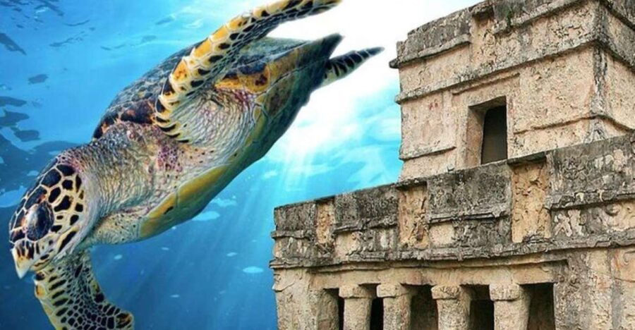 Cancun: Tulum Ruins & Snorkeling With Sea Turtles Tour - Good To Know