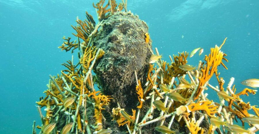 Cancún: Underwater Museum & Reef for Certified Scuba Divers - Good To Know