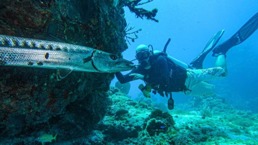 Cancún: Wreck and Reef for Certified Scuba Divers - Good To Know