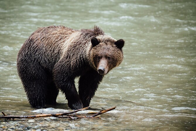 Canmore: Best of Banff National Park - Private Tour - 4hrs - Tour Details
