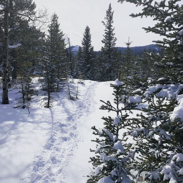 Canmore: Lost Towns and Untold Stories - Hiking Tour 3hrs - Good To Know