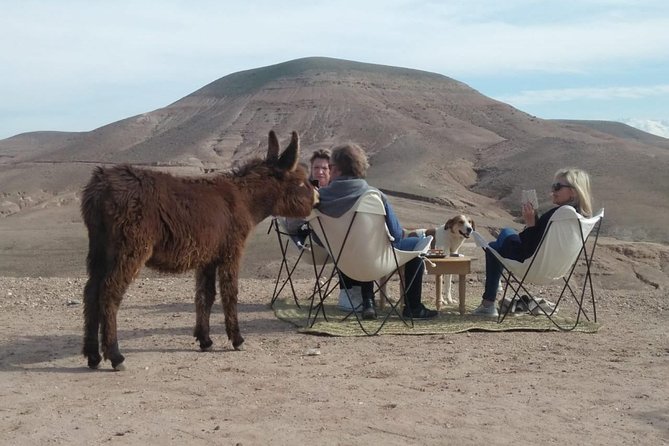Cannot Get to the Sahara Desert. Visit Agafay Desert Instead! - Good To Know