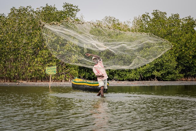Canoe Through Cartagena's Mangroves: Guided Discovery - Good To Know