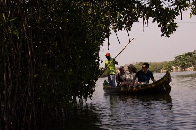 Canoe Trip in the Mangrove Forest in La Boquilla - Good To Know