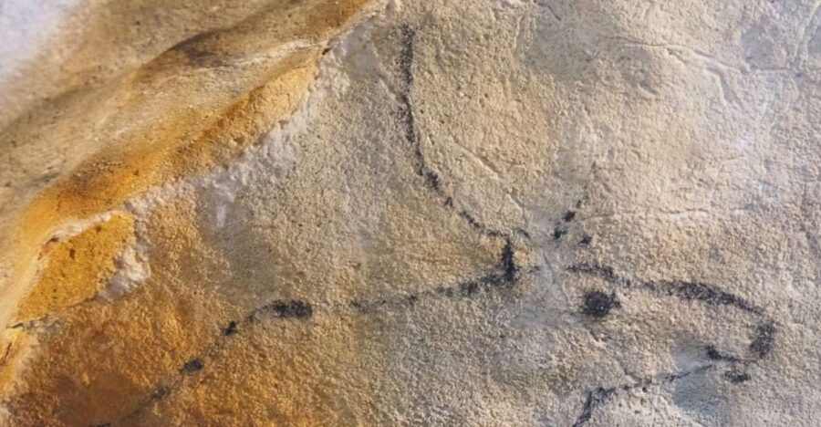 Cantabria: El Castillo Caves & Paleolithic Art