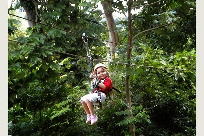 Cap Cana Half-Day Ziplining Experience  - Punta Cana - Good To Know
