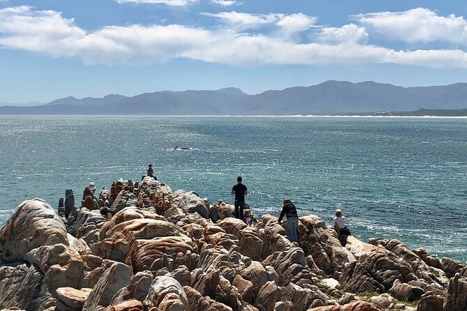 Cape Agulhas Full Day Private Tour - Tour Highlights