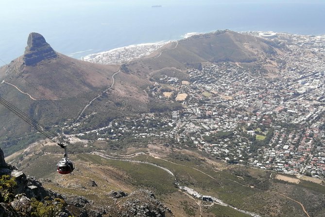 Cape-Experience Small Group to Chapmans Peak & Penguin Colony - Tour Highlights