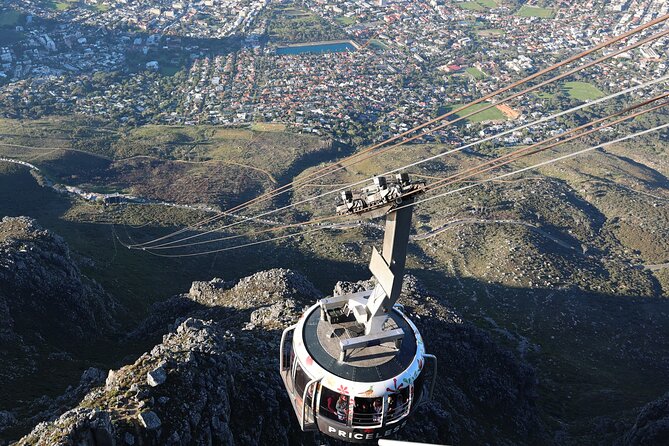 Cape of Good Hope and Table Mountain Day Trip From Cape Town Parks Fees Include - Pricing and Booking Details