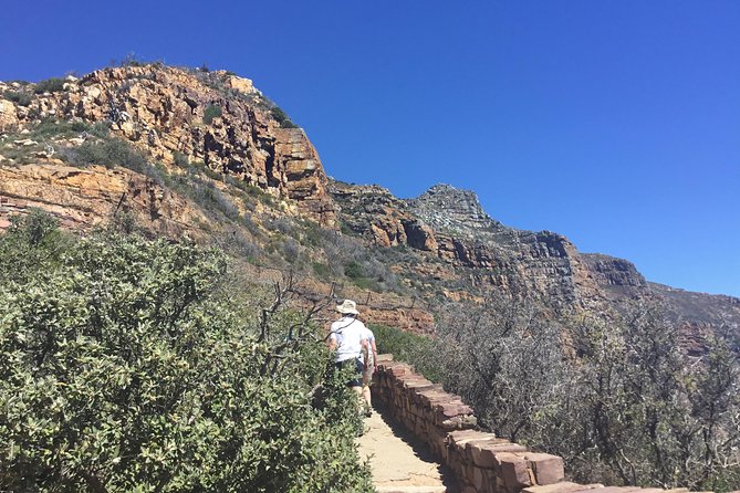 Cape of Good Hope-Penguin-Private Tour Combined With Wine Tasting Full Day Tour - Good To Know