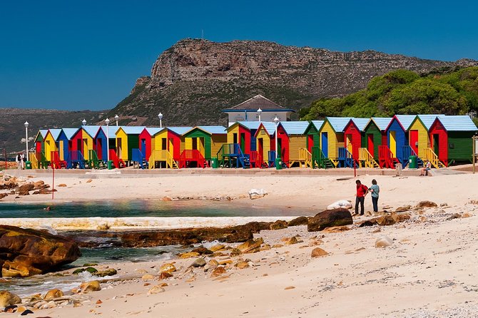 Cape of Good Hope & Penguins Full Day Tour From Cape Town South Africa