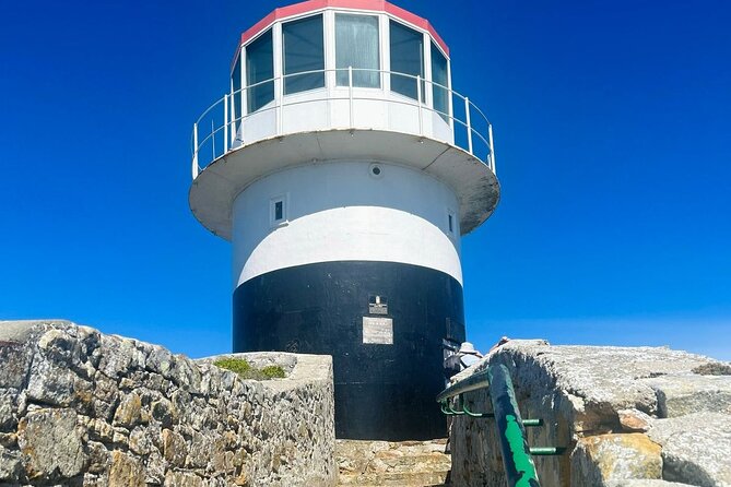 Cape of Good Hope,Penguins and Seals Full Day Tour. - Good To Know