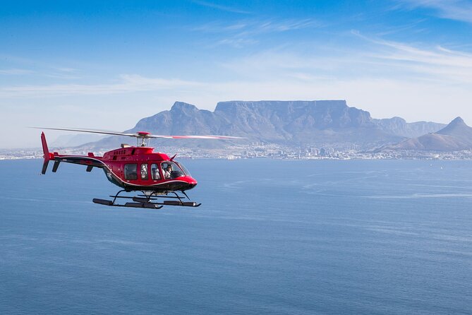 Cape Peninsula Helicopter Private Tour With Stellenbosch Wine Tasting & Lunch - Good To Know