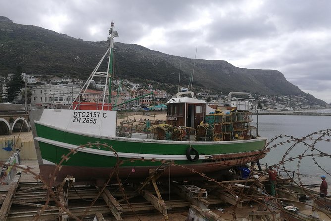 Cape Peninsula Tour - Good To Know