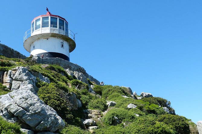 Cape Point & Peninsula Full Day Tour