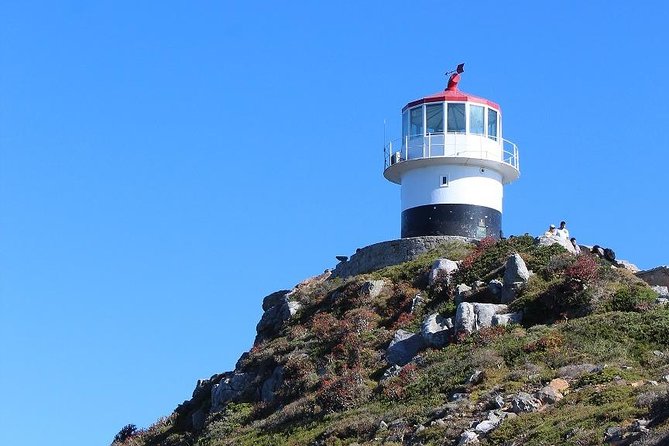 Cape Point & Table Mountain Tour - Good To Know