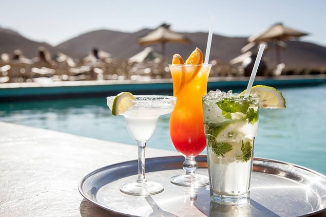 Cape Town: 1-Day Big 5 Game Drive Safari - Wildlife Experience in South Africa