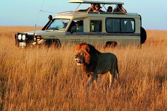 Cape Town 3-Day Attraction Tour:Aquila Safari Tour & Wine Tasing & Robben Island - Day 1: Aquila Safari Game Reserve