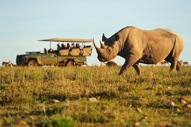 Cape Town 5-Day Garden Route Tour Including Shark Cage Diving - Good To Know