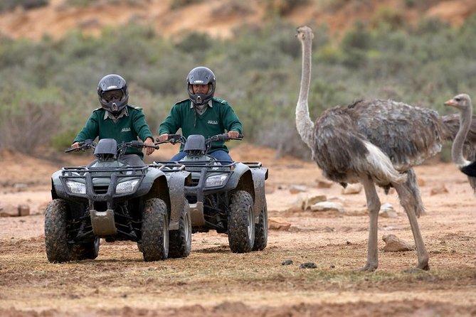 Cape Town Adventure Tours - Good To Know