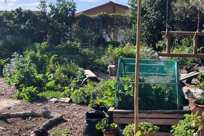 Cape Town: African Food, Arts, and Storytelling Experience (Feb ) - Good To Know