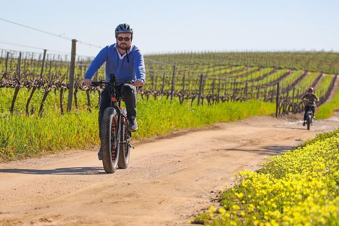 Cape Town: E-Bike Wineland Tour Half-Day - Good To Know