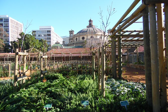 Cape Town: Garden Tour to Company's Garden and Ardene Garden - Good To Know