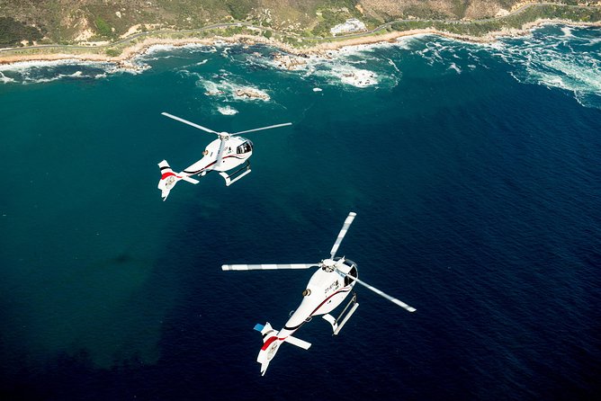 Cape Town Helicopter Tour: Atlantic Coast