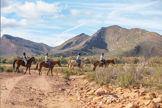 Cape Town Horseback Full Day Safari Tour - Good To Know
