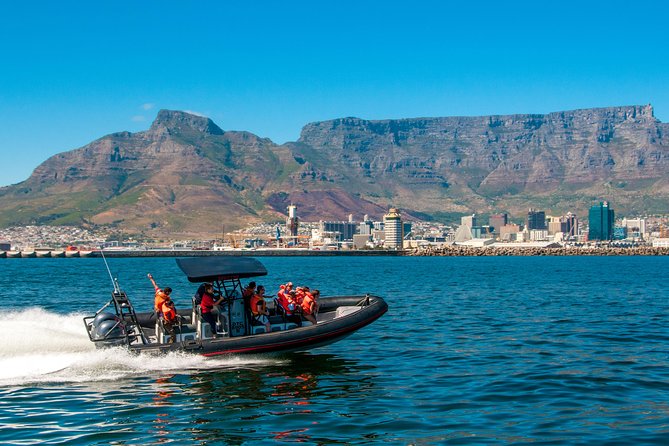 Cape Town Ocean Safari Boat Tour