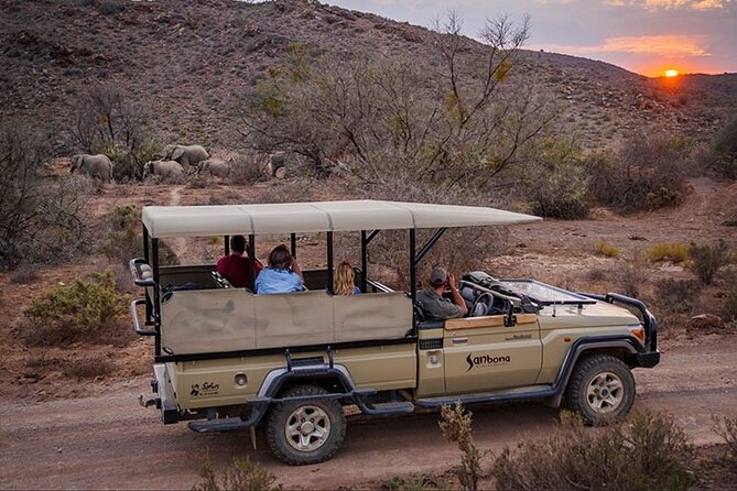 Cape Town - Overnight Sanbona Safaris Game Reserve Tour - Good To Know