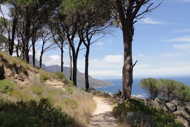 Cape Town: Pipetrack Hike for the Whole Family on Table Mountain - Good To Know