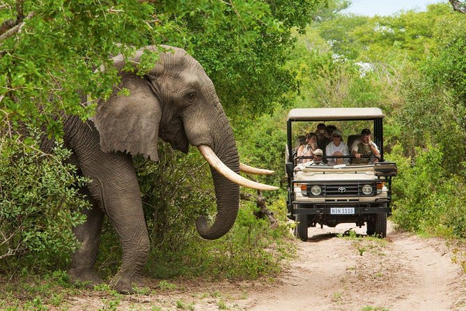 Cape Town Private, Aquila Safari Full Day Tour