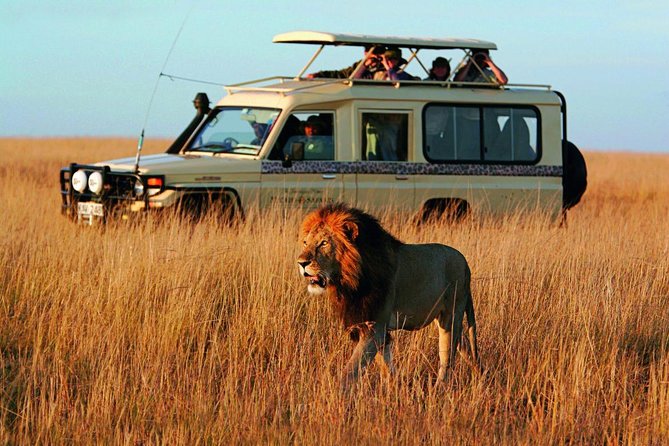 Cape Town Private -The Best of Big Five Safari Tour