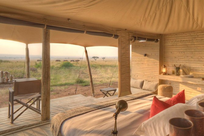 Cape Town Private, The Best Of Big Five Safari Tour - Good To Know