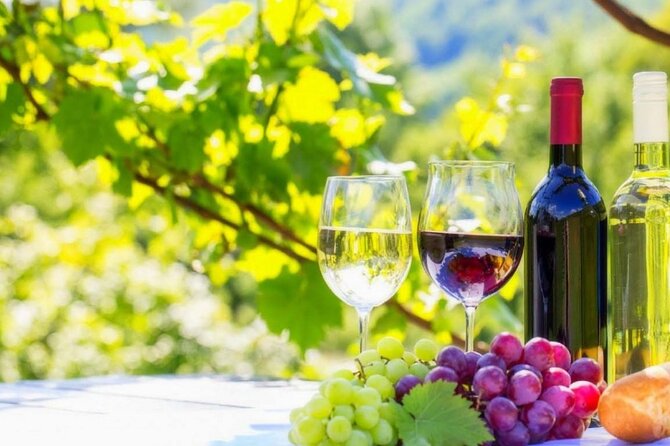 Cape Town Private Tour- Stellenbosch Winelands Full Day - Good To Know