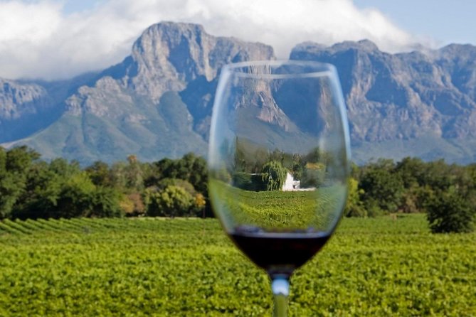 Cape Town Private , Wineland Tasting Tour - Good To Know