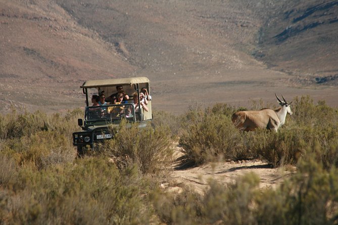 Cape Town Shore Excursion: Aquila Safari Day Trip From Cape Town - Overview and Itinerary