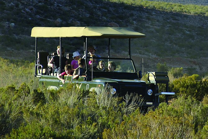 Cape Town Shore Excursion: Private Small Group Aquila Overnight - Good To Know