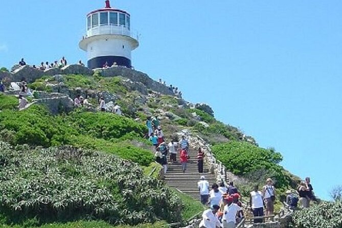 Cape Town Shore Excursion: Private Small Group Cape Point Tour - Good To Know