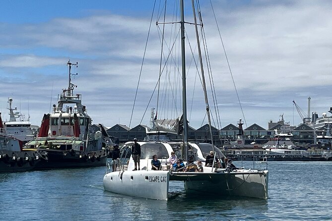 Cape Town Sunset 1.5 Hour - Escape Cat - Good To Know