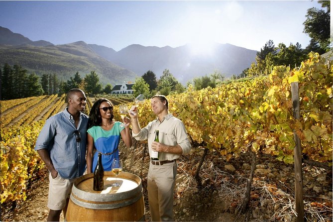 Cape Town Super Saver: Cape Point Tour Plus Wine Tasting in Stellenbosch - Good To Know