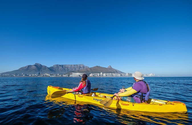 Cape Town: Table Bay Kayaking Trip
