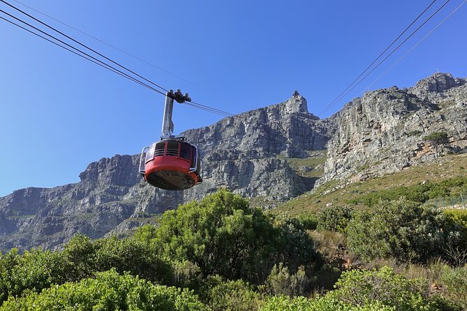 Cape Town Table Mountain Cape Point Penguins Full-Day Private Tour - Good To Know